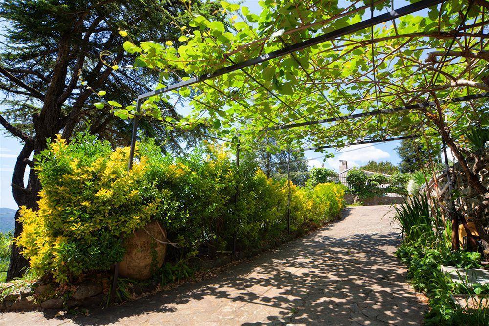 Oasi Verde Castiglione Chiavarese Dış mekan fotoğraf