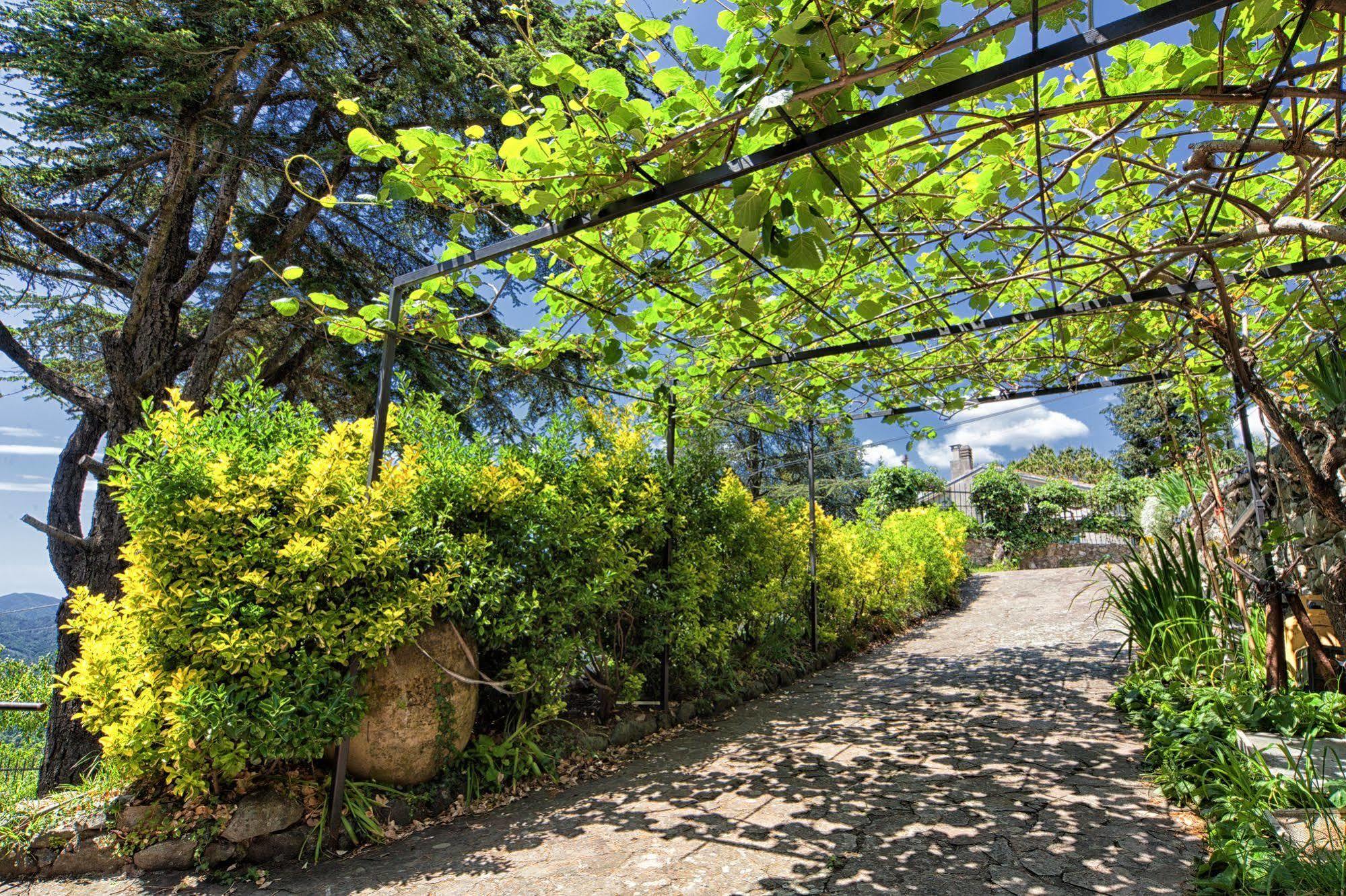 Oasi Verde Castiglione Chiavarese Dış mekan fotoğraf